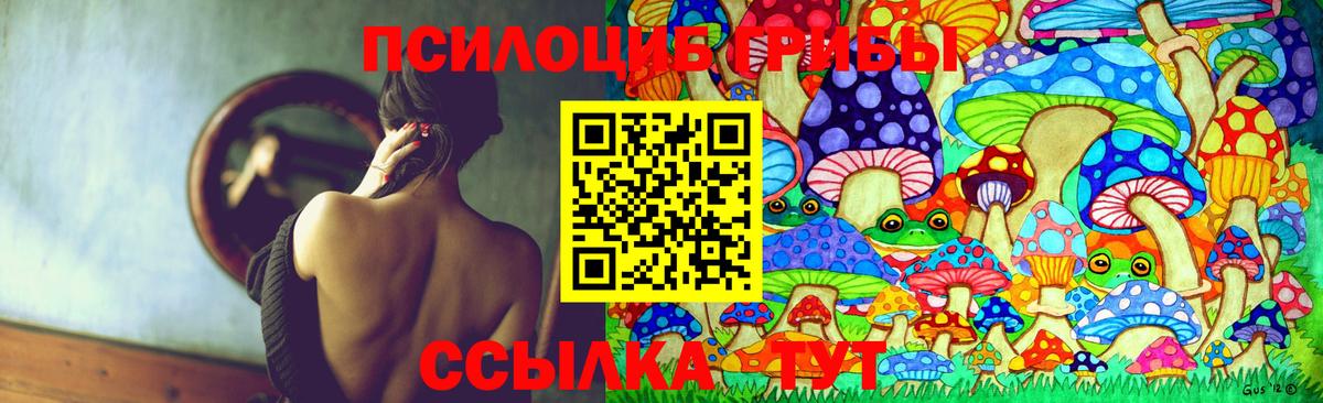 Галлюциногенные грибы Psilocybe  Псилоцибиновые грибы Psilocybine cubensis  Вход с VPN  Подольск 