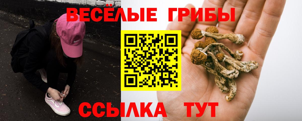Псилоцибиновые грибы GOLDEN TEACHER Подольск
